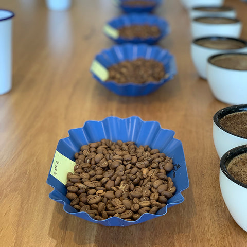 coffee cupping process