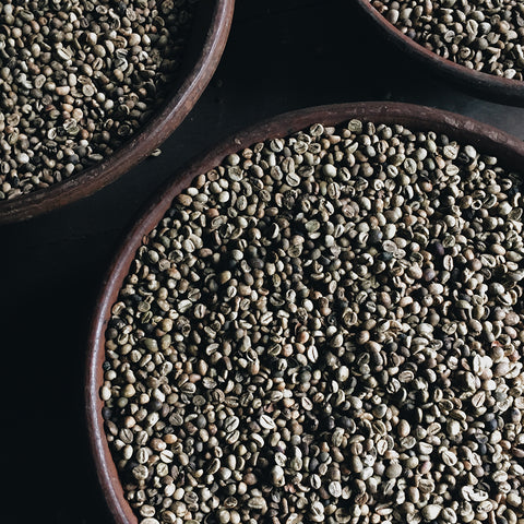 coffee farming sustainability