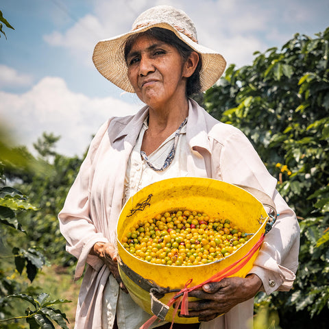 peruvian coffee farmer