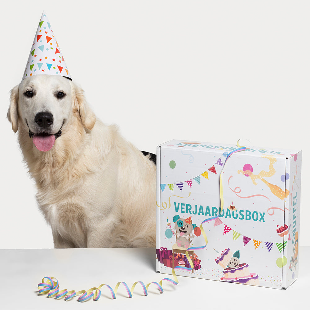 Hedendaags Verjaardag van je Hond? Dit is het Leukste Cadeau! – Snuffelbox QV-24