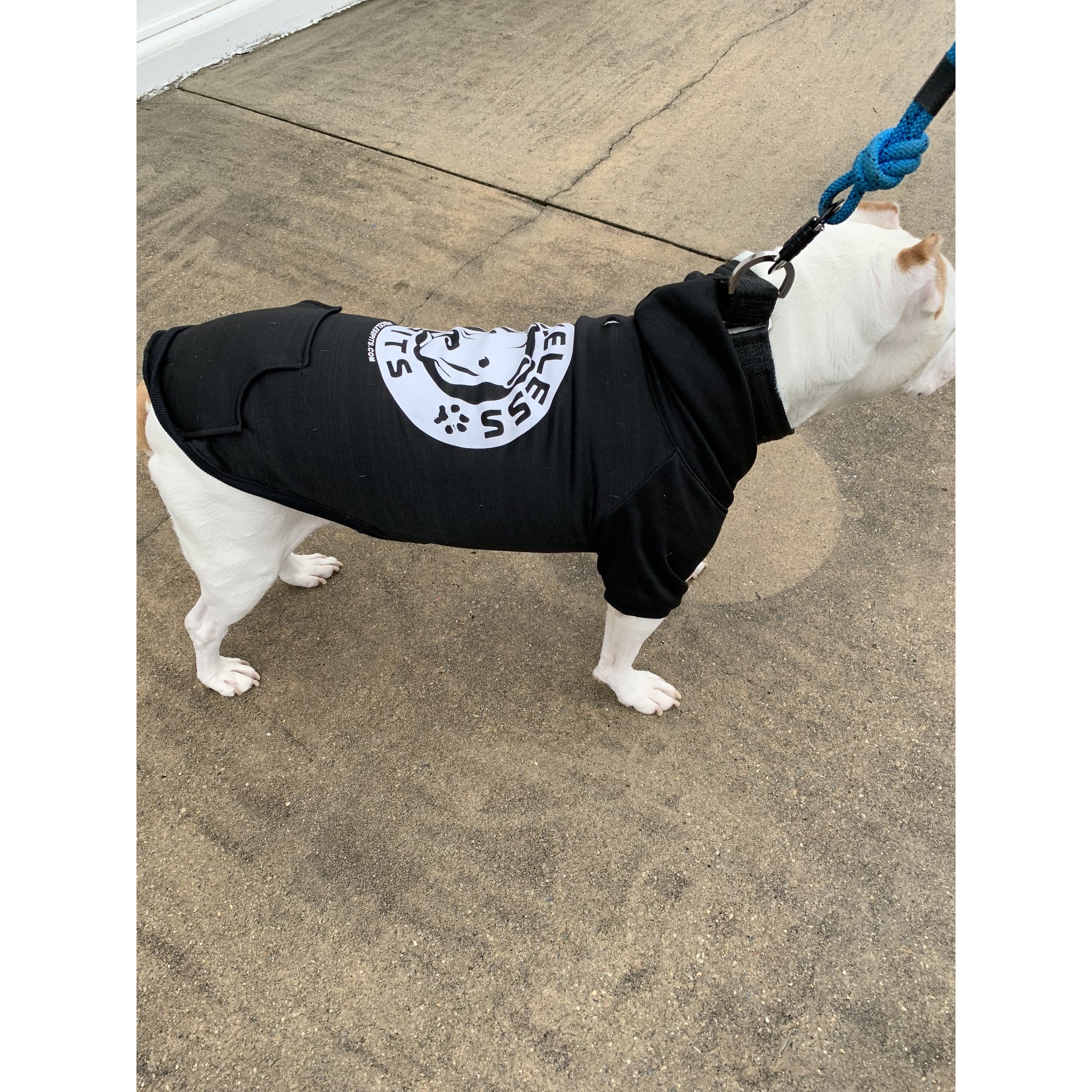 Priceless Pits Logo Black Pitbull Dog Hoodie Priceless Pits Apparel Co