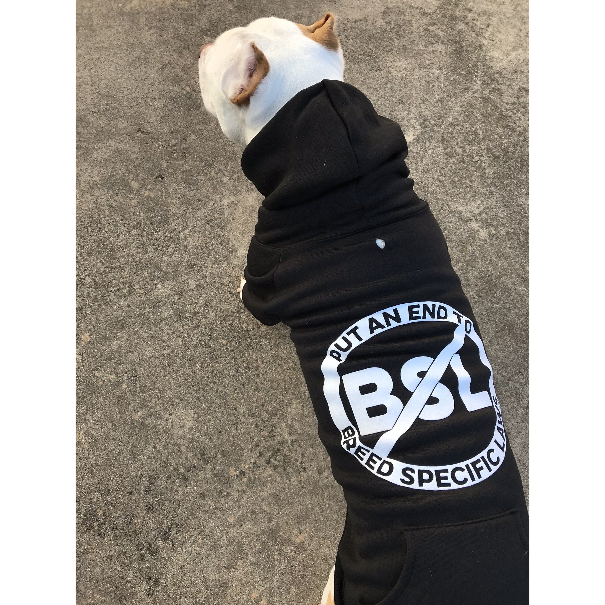 society sport hoodie