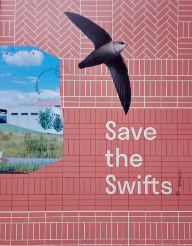 save the swifts flyer