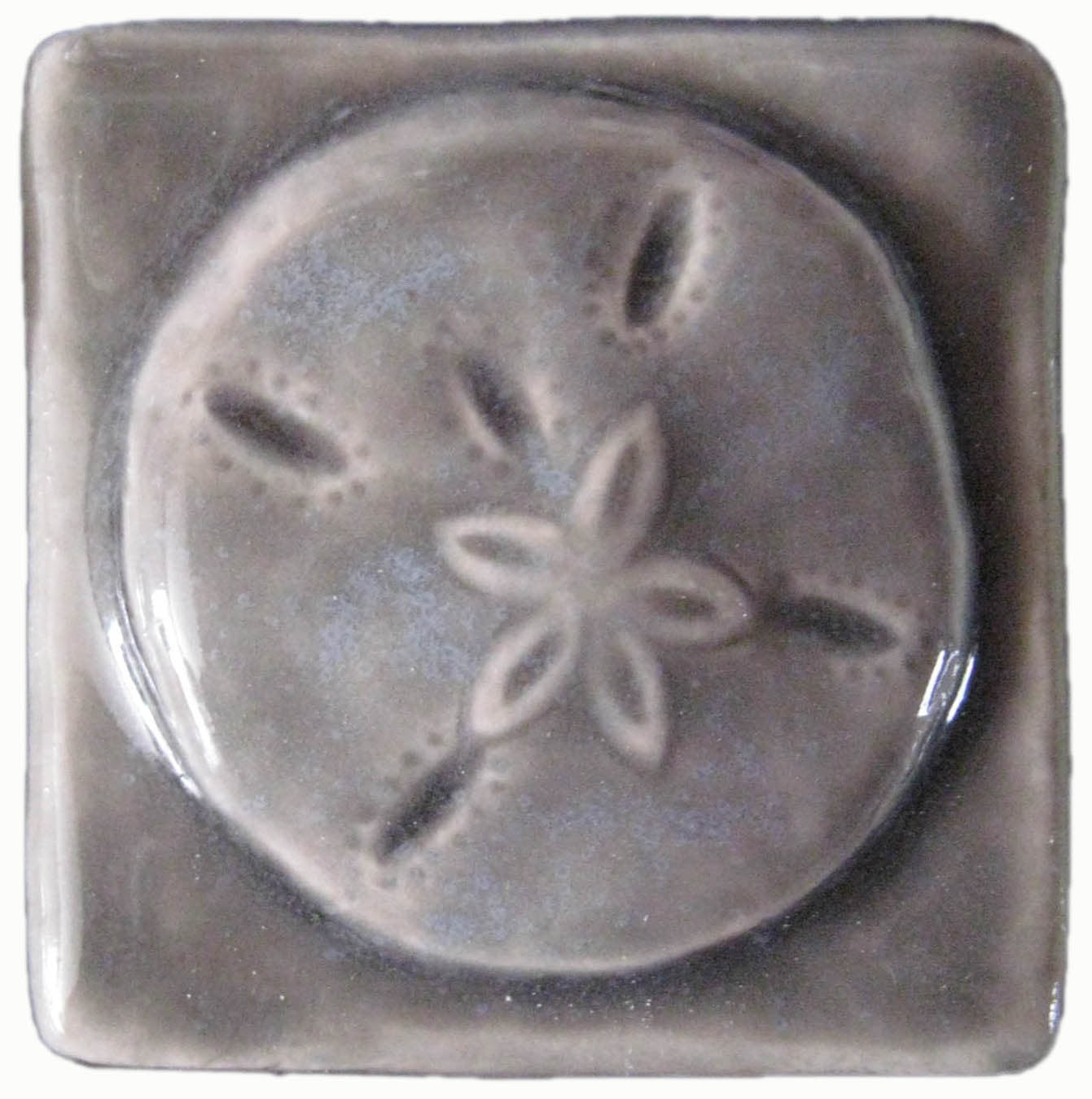 Sand dollar stepping stone molds for sale.