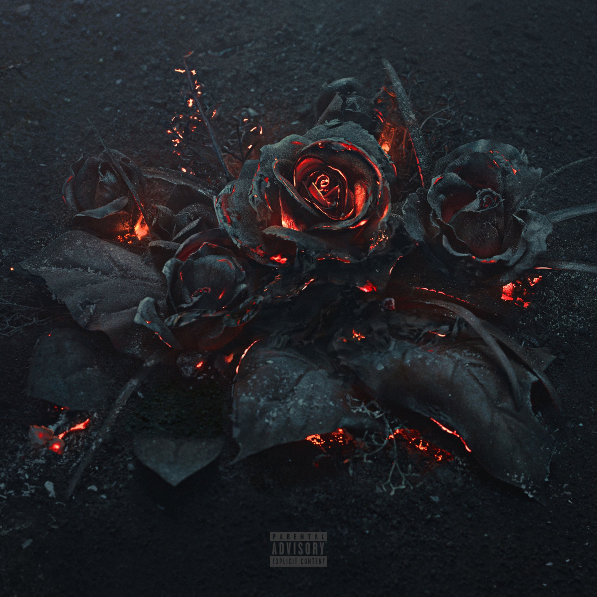 Future-EVOL-2016-2480x2480.jpg