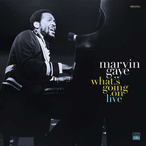 Marvin Gaye – What's Going On (Original Detroit Mix) – Vinyl LP – Mr Bongo