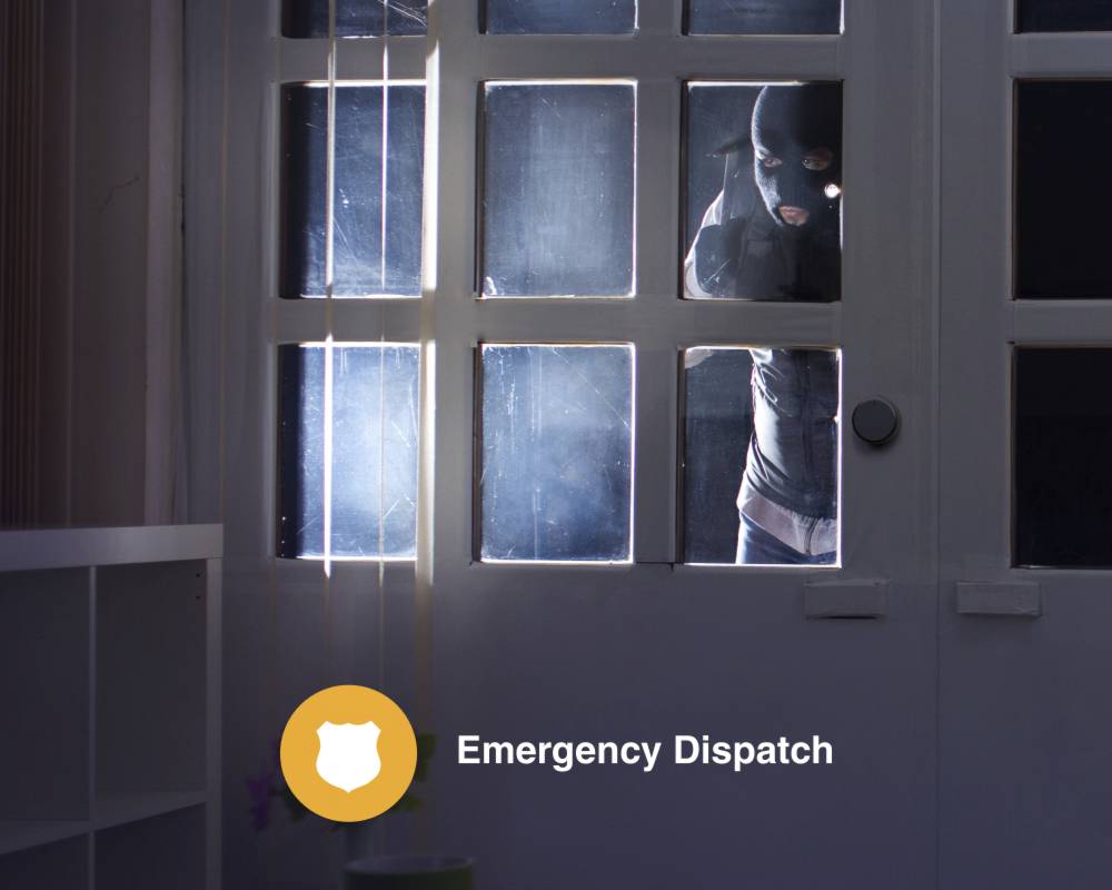 home-image-emergency-dispatch-service
