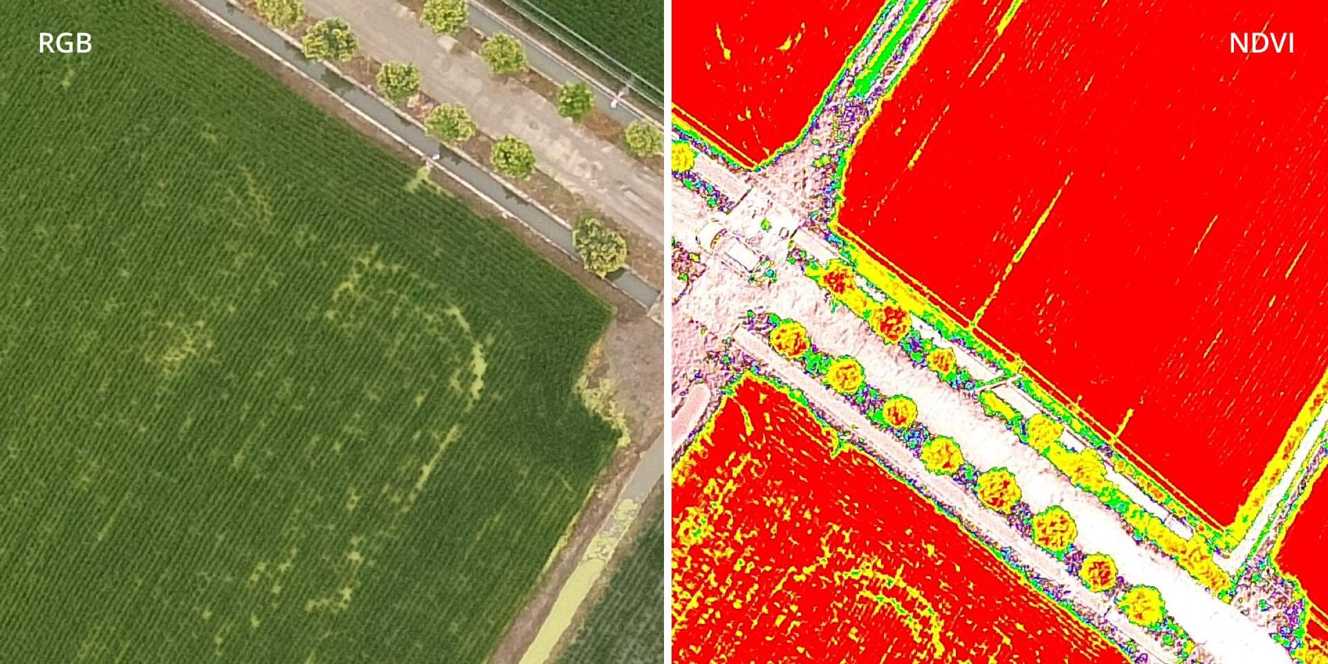 P4 Multispectral Agriculture Drone