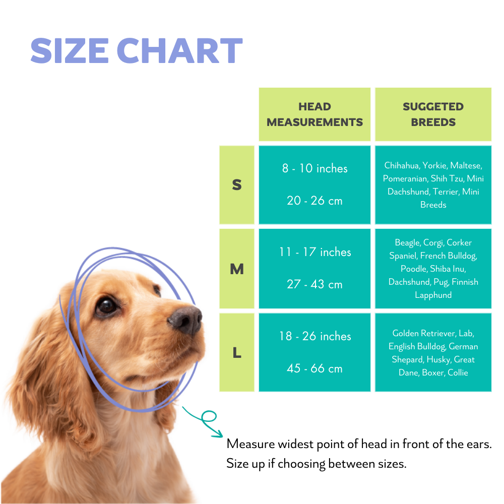 miniature poodle size chart