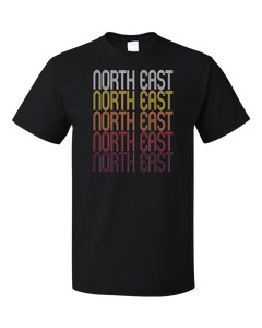 the north east t shirt