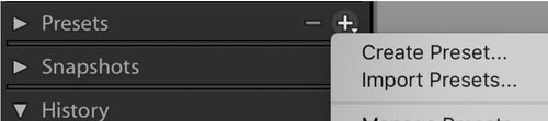 import presets into lightroom