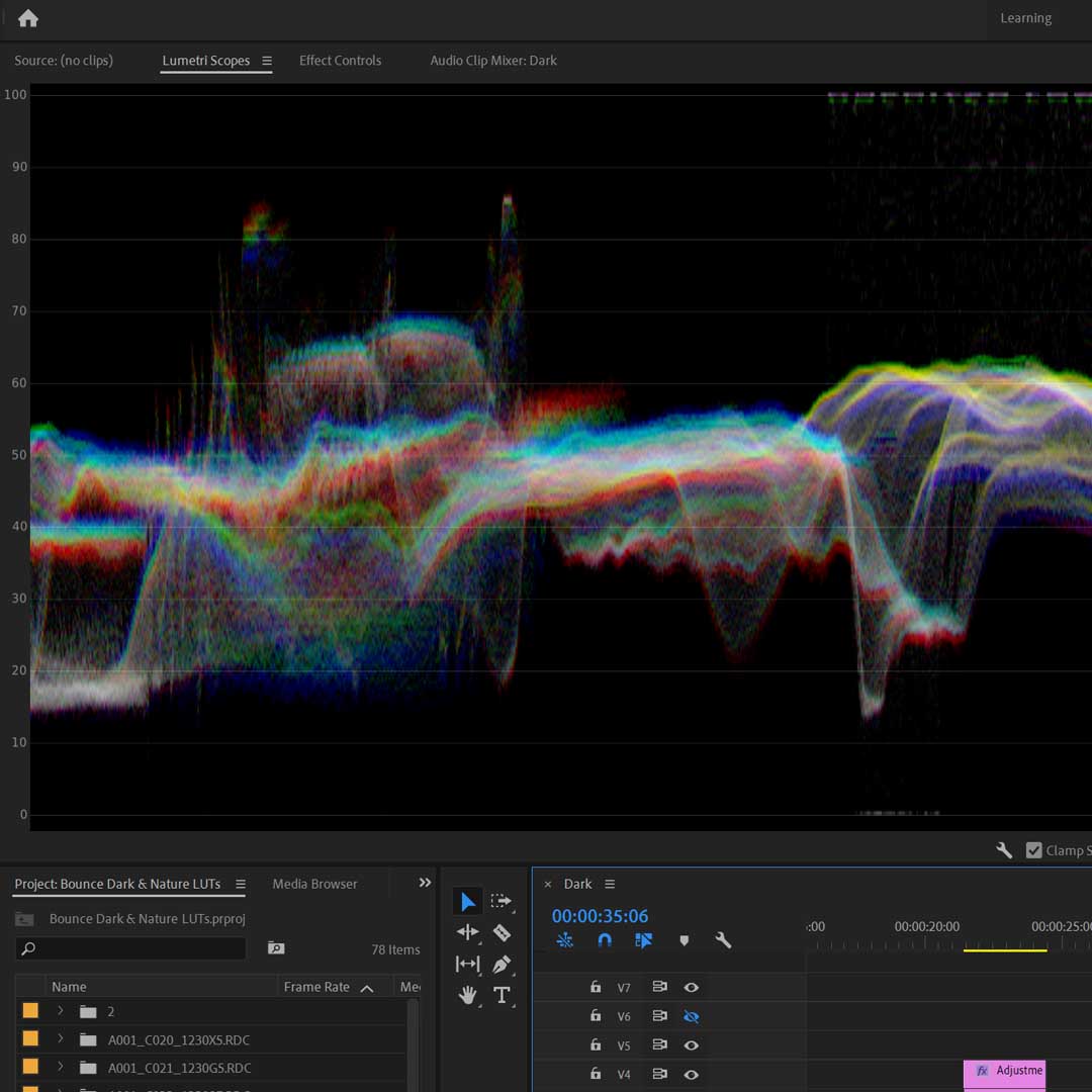 vector scopes premiere pro