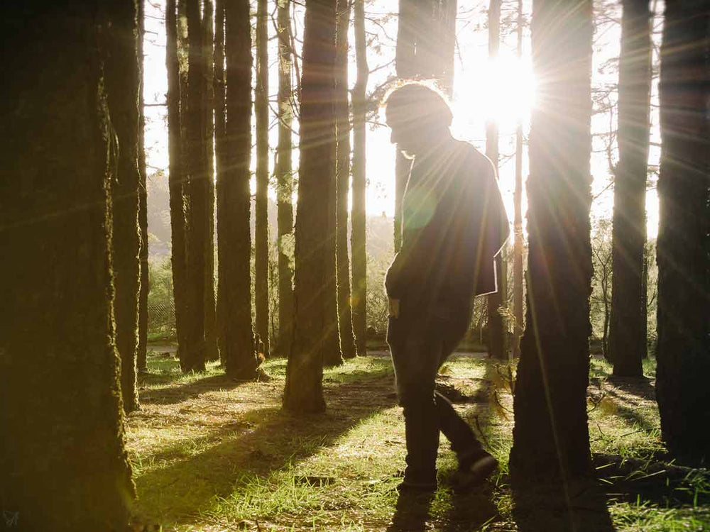 Wondering man in the forest