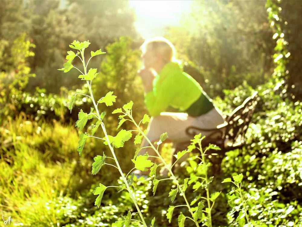 How does CBD make you feel - banner