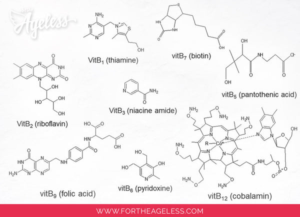 B vitamins - molecules