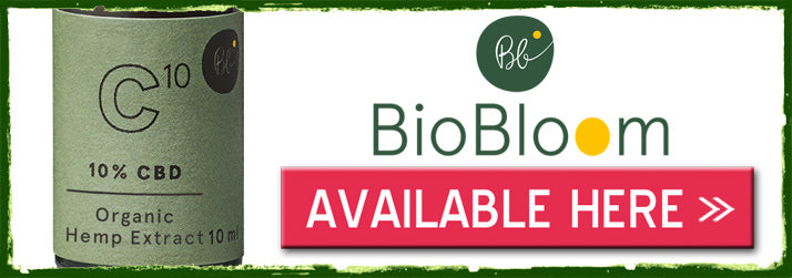 BioBloom – 10% CBD oil