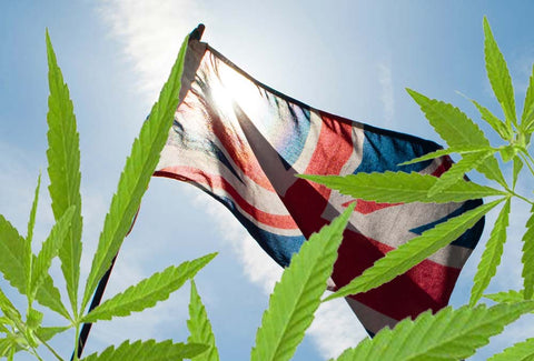 CBD UK flag