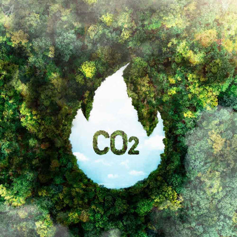 CO2 drop leaves