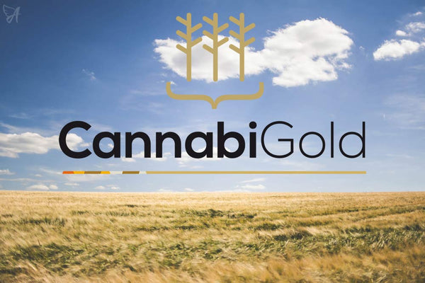 CannabiGold UK - Gold-Standard CBD Drops