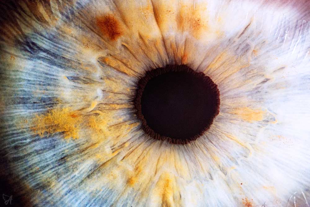 Close-up of eye pupil