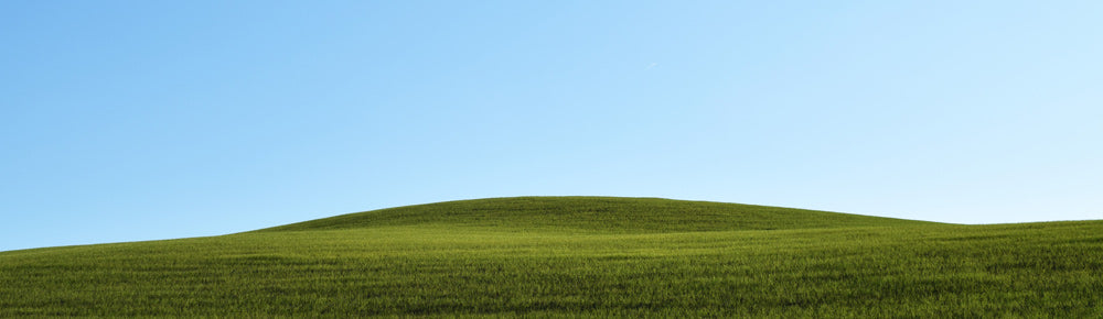 Hemp field CBD