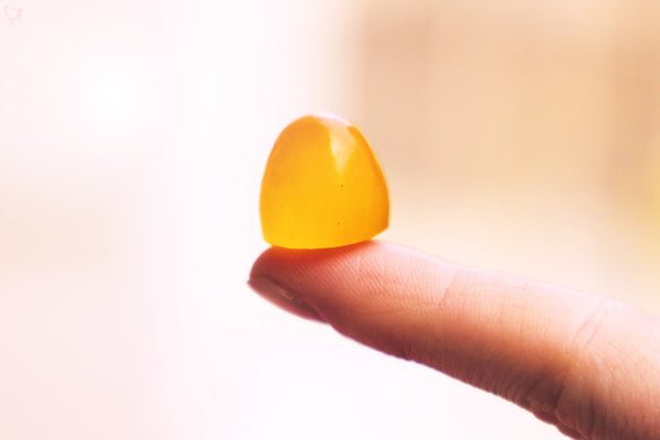 Holding a single CBD gummy