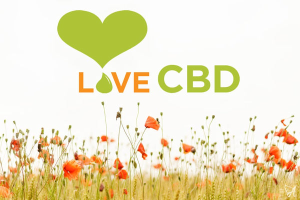 Love CBD logo