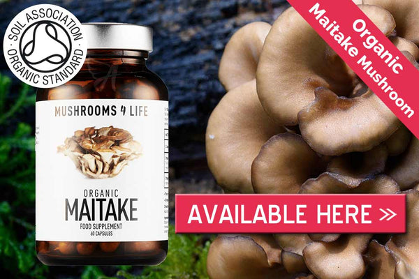 Maitake mushroom capsules