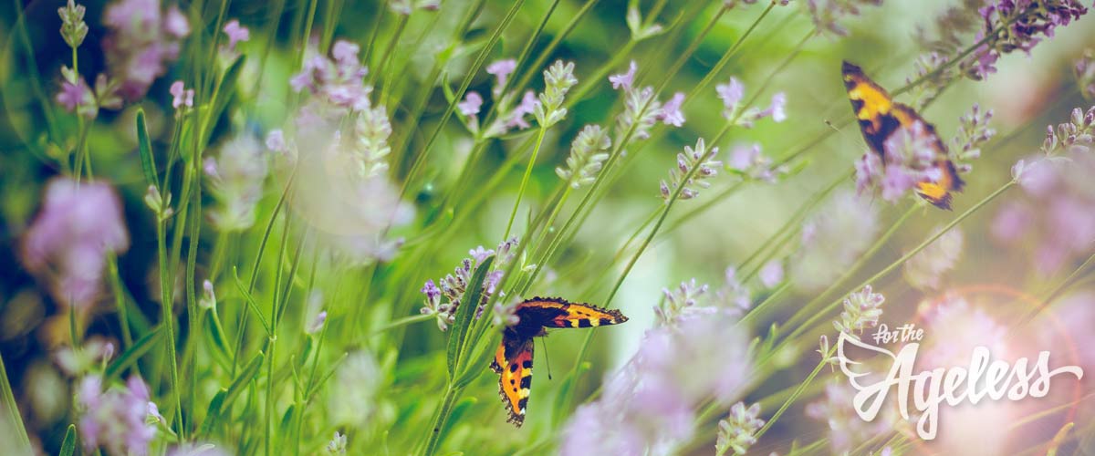 Natural skincare banner