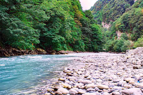 Nature by stream