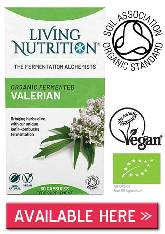 Organic fermented valerian
