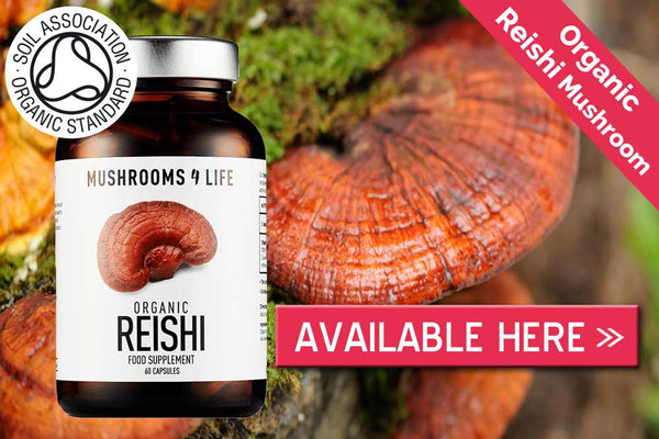 Reishi mushroom capsules