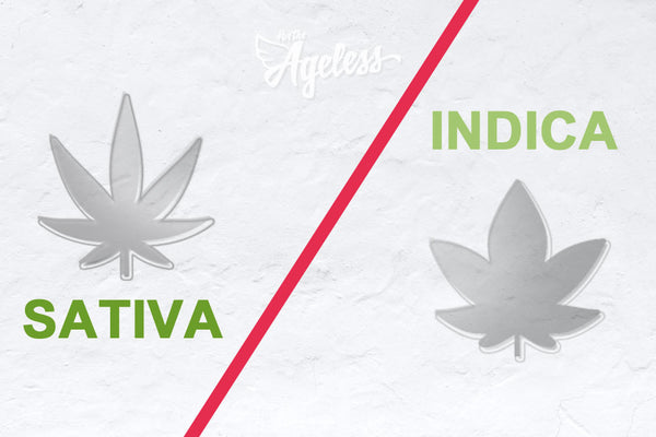 Sativa vs Indica leaves