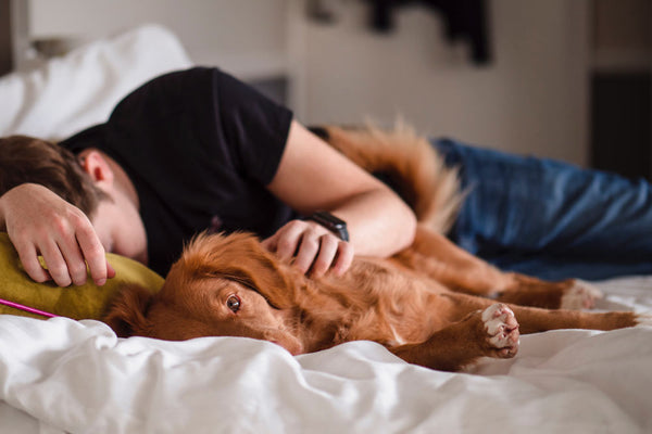 Tired man on bed with his dog