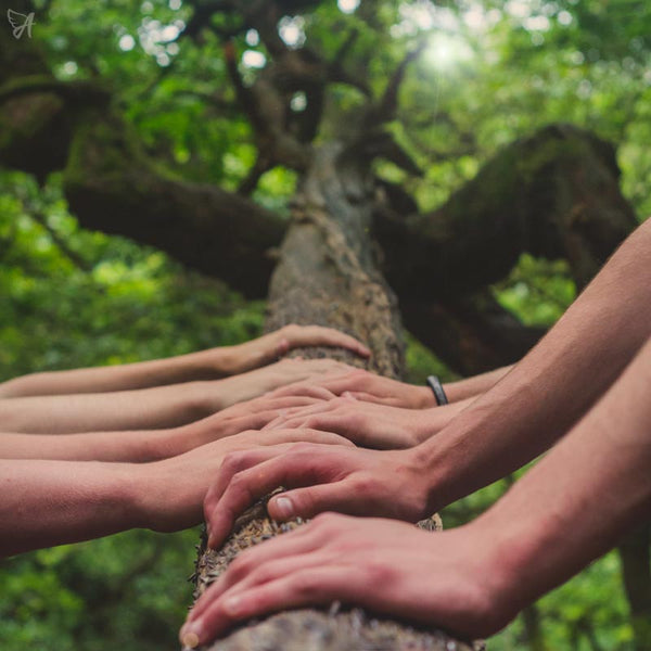 Tree hands together