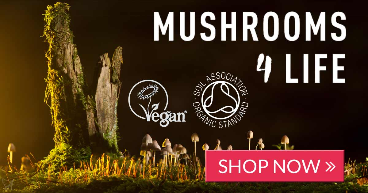 mushrooms-4-life-banner