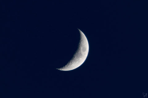 sleep night moon