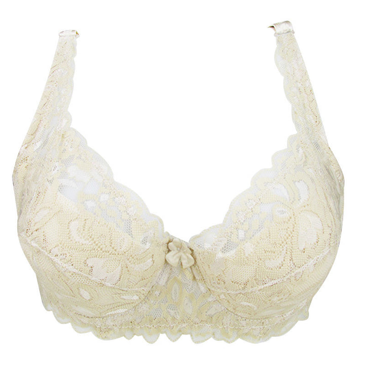 Female Comfortable Lace Push Up Bra | Buy Push Up Bras | ZORKET.COM ...