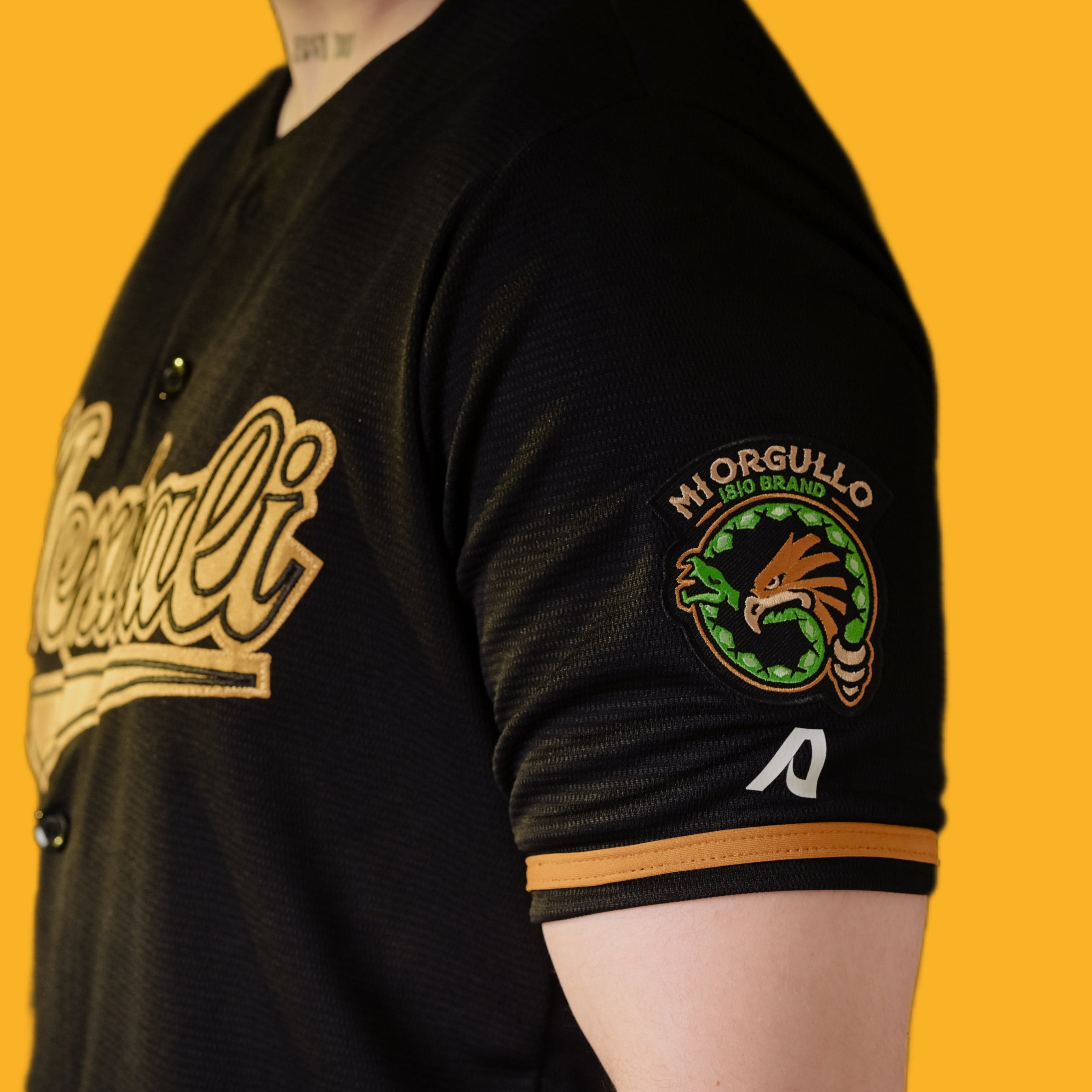 Mi ORGULLO1810 Brand Michoacán Classic Black/Green Jersey Small