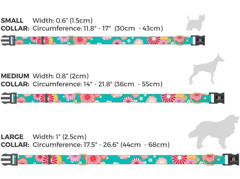 American Eskimo Size Chart