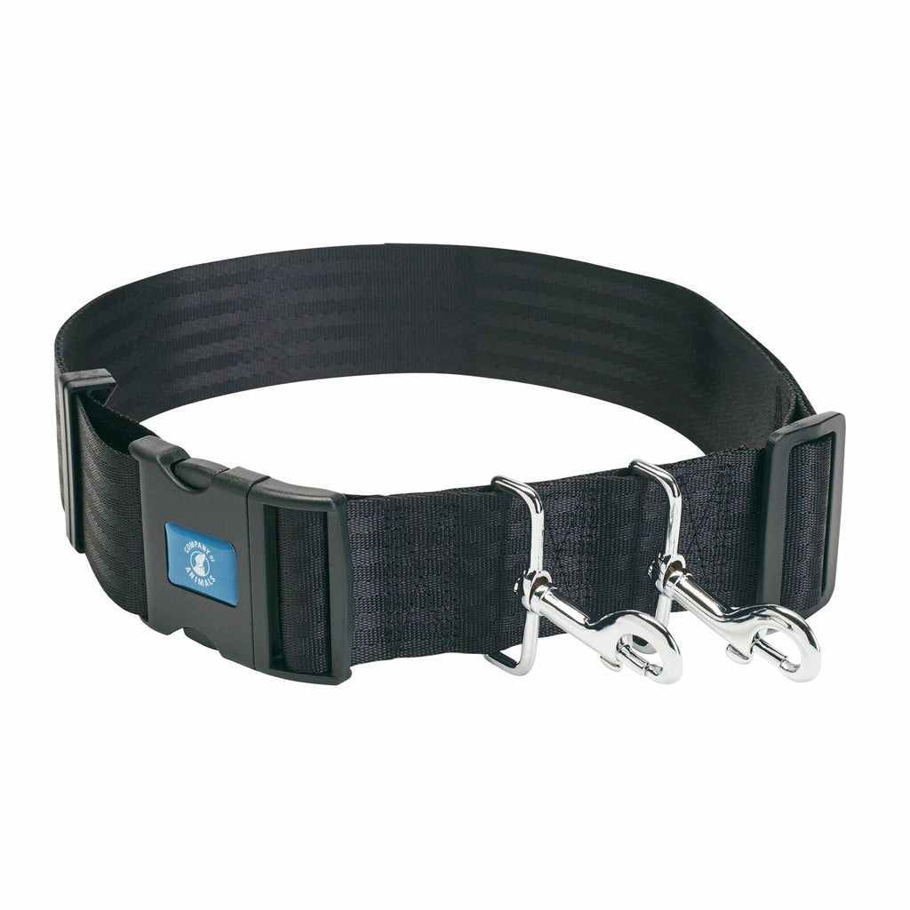 dog waist belt