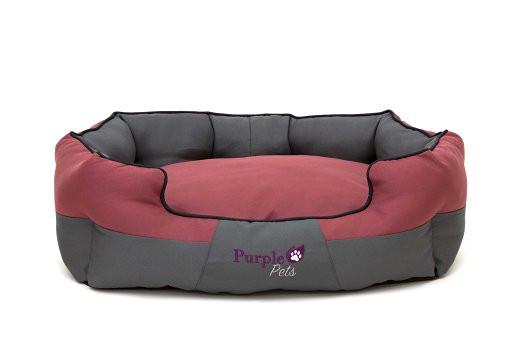 purple pet bed