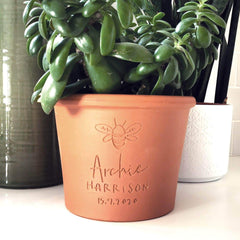 Engraved Bee Plant Pot
