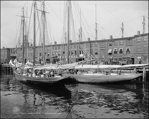 Fisher schooners at "T" wharf, Boston, Mass. Subjects: Piers & wharves. Fishing industry. Boats. United States--MASSACHUSETTS--MA--Boston.