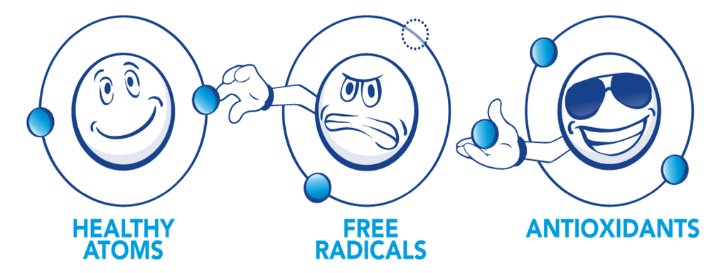 Free Radicals and Oxidative Stress