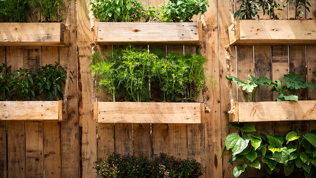 A Complete Guide to Vertical Gardening at Home