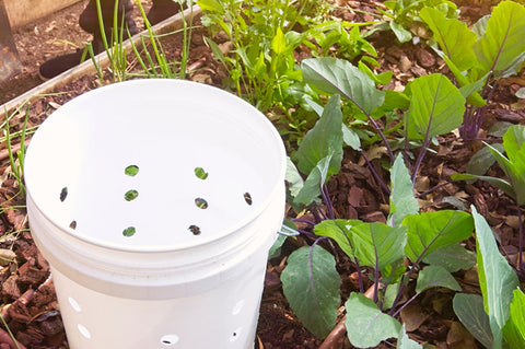 Compost Bin