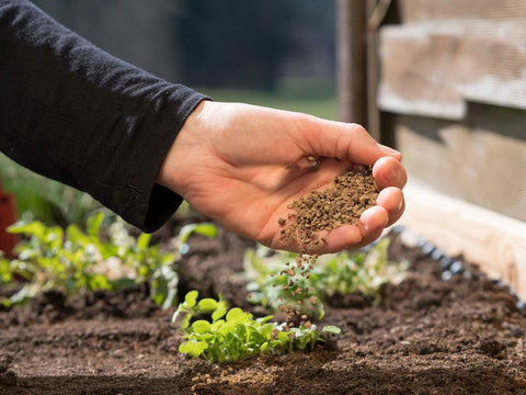 Conclusion: Mulch vs Compost vs Fertilizer