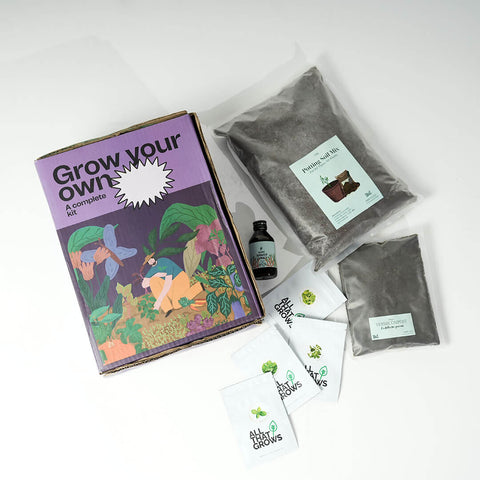 Introducing Our Herb Growing Kits Collection