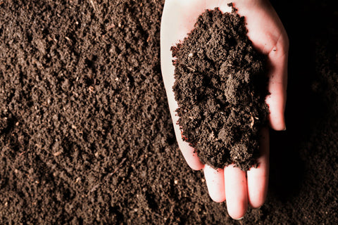 Knowing Your Soil Type